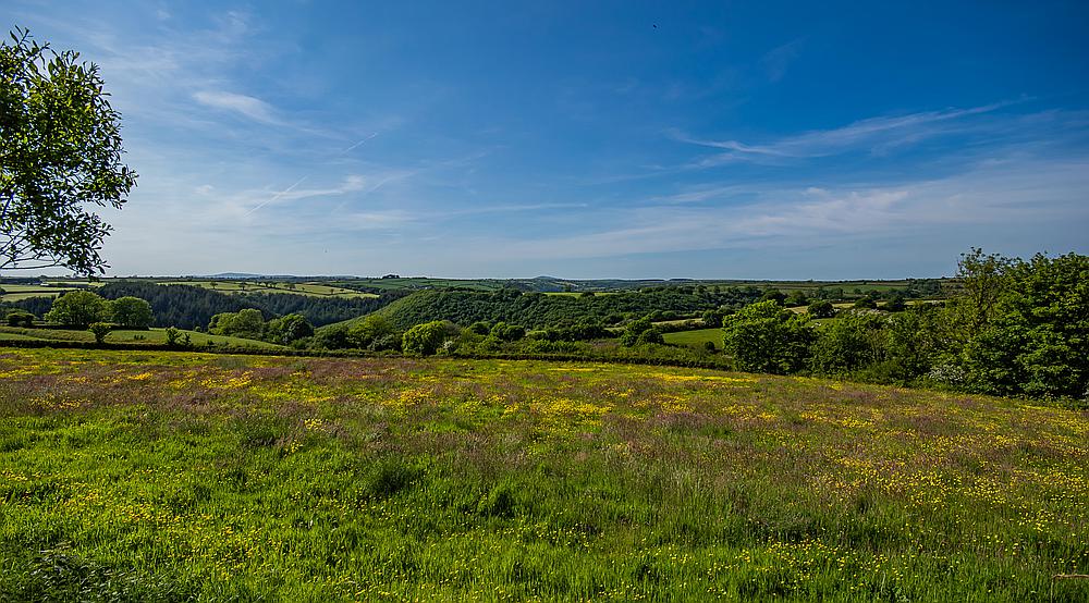 Meidrim CARMARTHENSHIRE