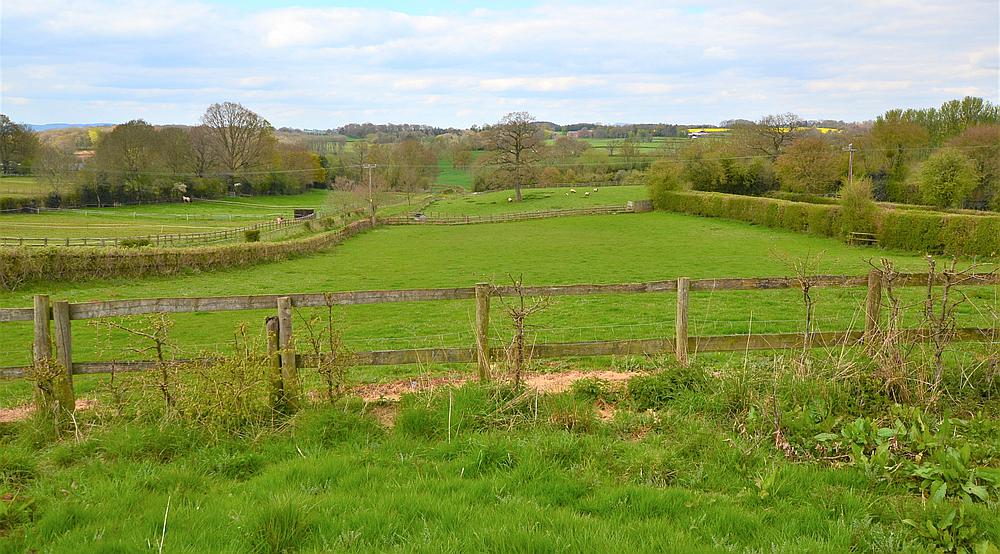 Risbury HEREFORDSHIRE