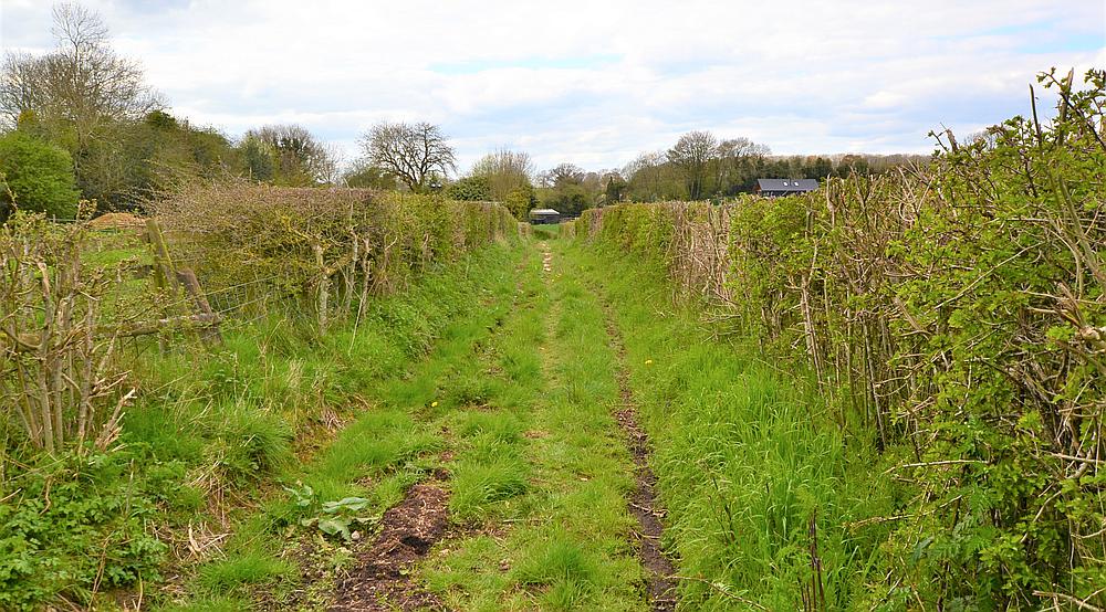 Risbury HEREFORDSHIRE