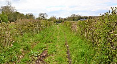 Risbury HEREFORDSHIRE