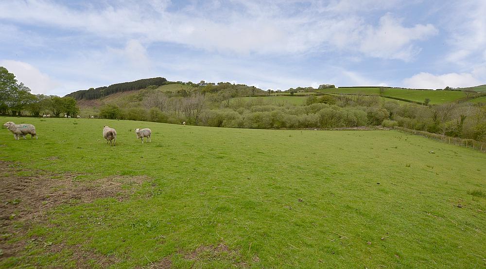 Property for Sale Gwynfe CARMARTHENSHIRE Rural Scene