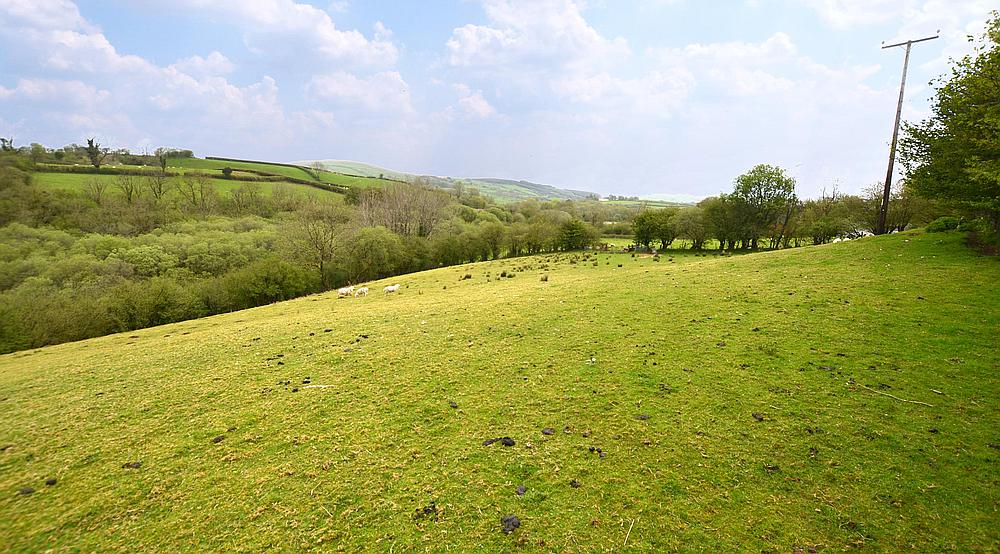 Property for Sale Gwynfe CARMARTHENSHIRE Rural Scene