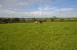 Laugharne CARMARTHENSHIRE