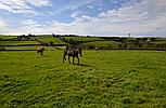 Laugharne CARMARTHENSHIRE