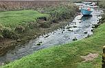 Laugharne CARMARTHENSHIRE