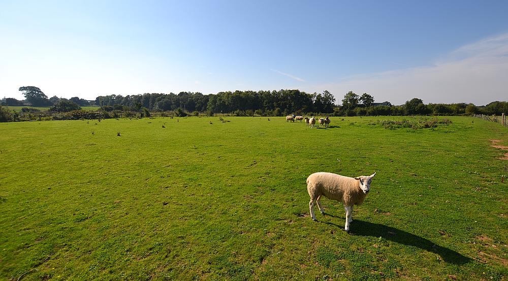 Lambourn BERKSHIRE