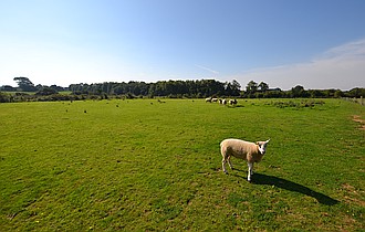 Lambourn BERKSHIRE