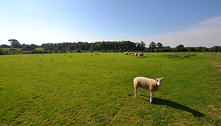 Lambourn BERKSHIRE