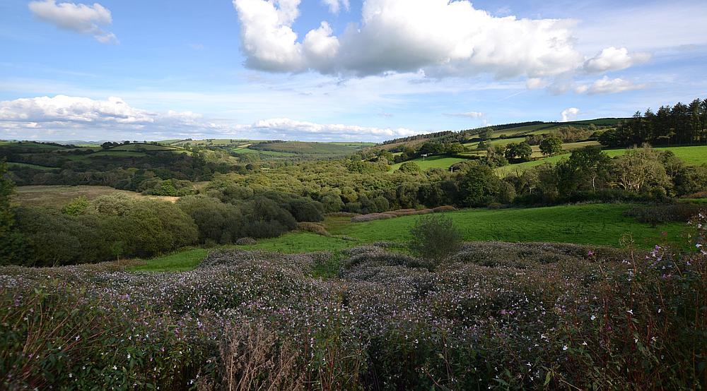 Rhydcymerau CARMARTHENSHIRE