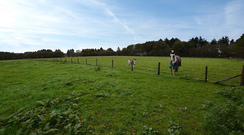 Cynwyl Elfed CARMARTHENSHIRE