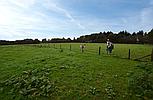 Cynwyl Elfed CARMARTHENSHIRE