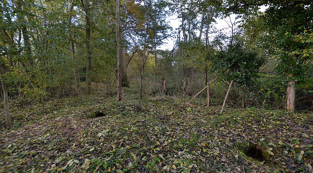 Property for Sale Much Marcle HEREFORDSHIRE Rural Scene