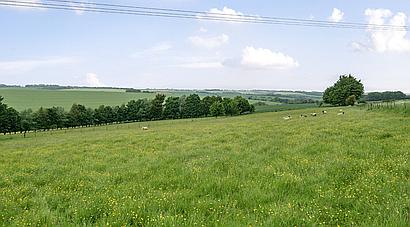 Bowerchalke WILTSHIRE