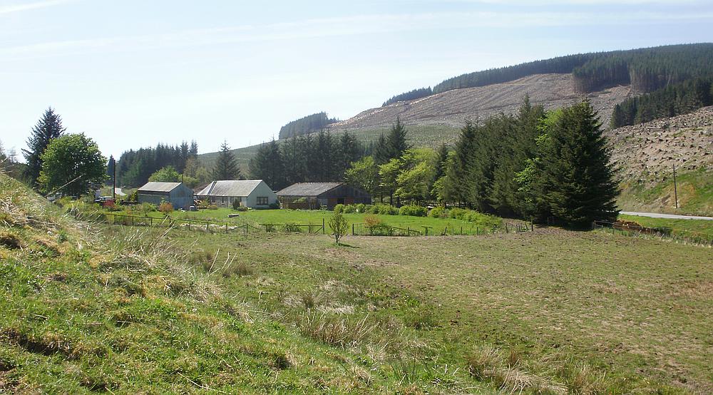 Property for Sale Ettrick Valley SCOTTISH BORDERS Rural Scene