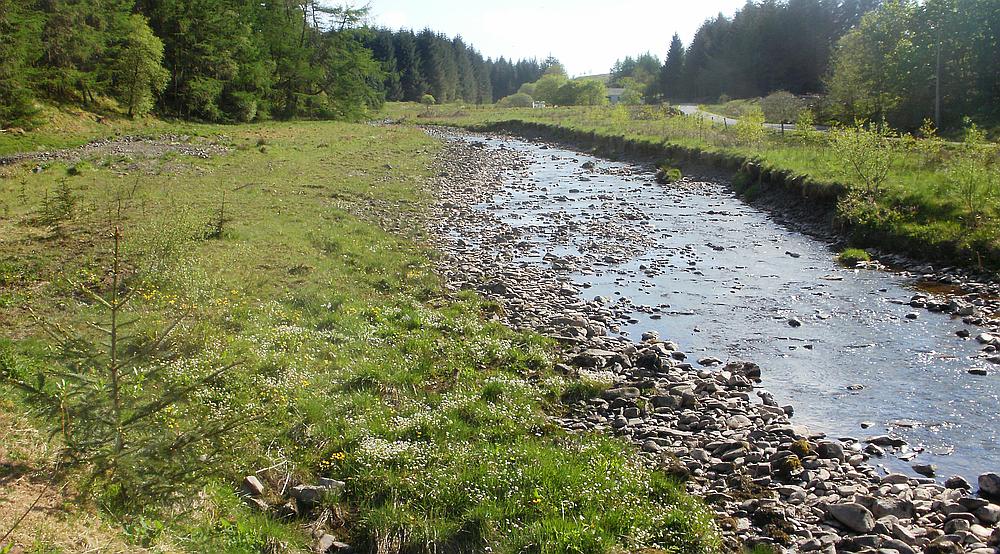 Property for Sale Ettrick Valley SCOTTISH BORDERS Rural Scene