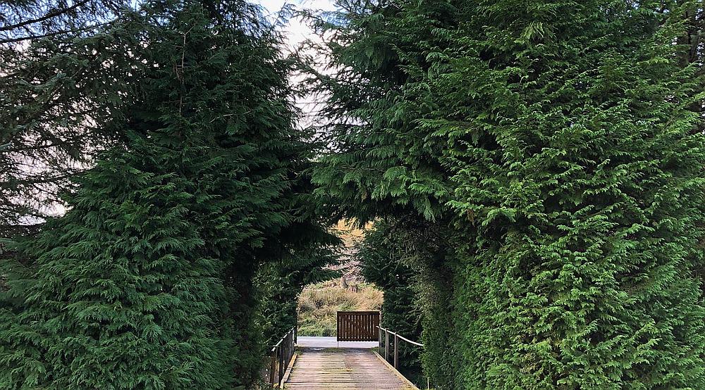 Property for Sale Ettrick Valley SCOTTISH BORDERS Rural Scene