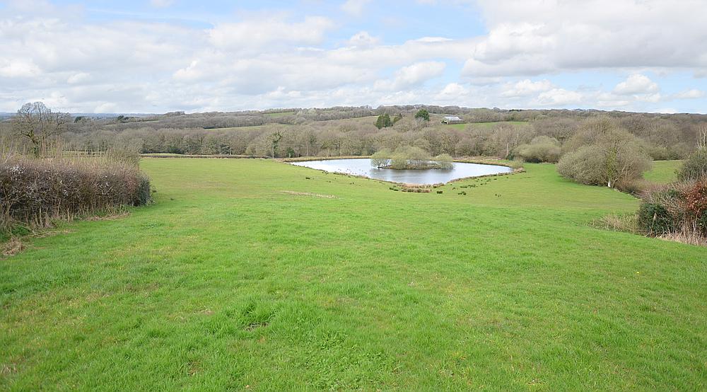 Property for Sale Beaworthy DEVON Rural Scene