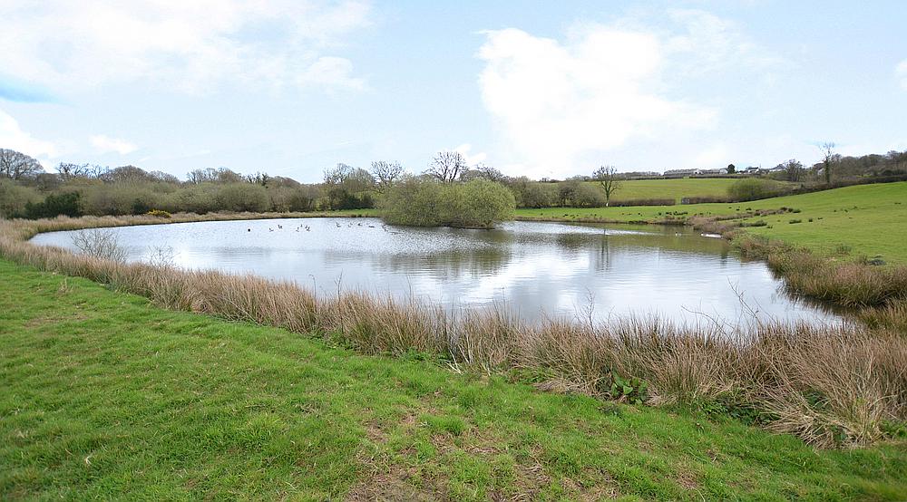 Property for Sale Beaworthy DEVON Rural Scene