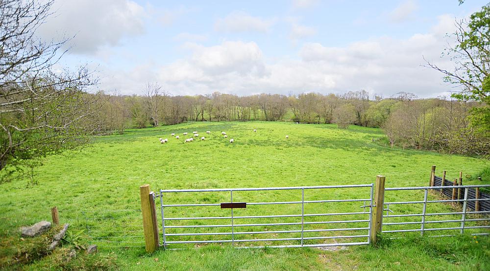 Llandysul CEREDIGION