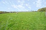 Llandysul CEREDIGION