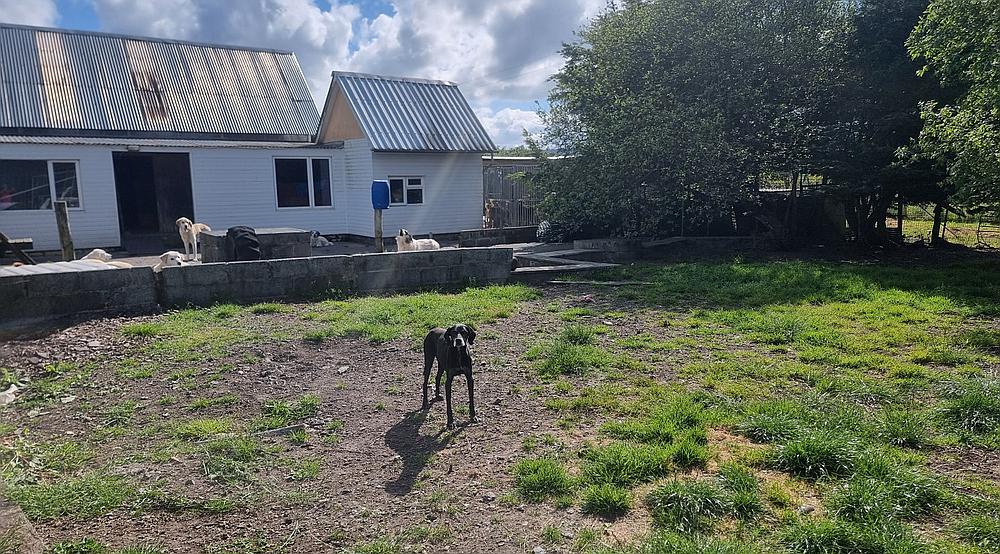 Property for Sale Kidwelly CARMARTHENSHIRE Rural Scene