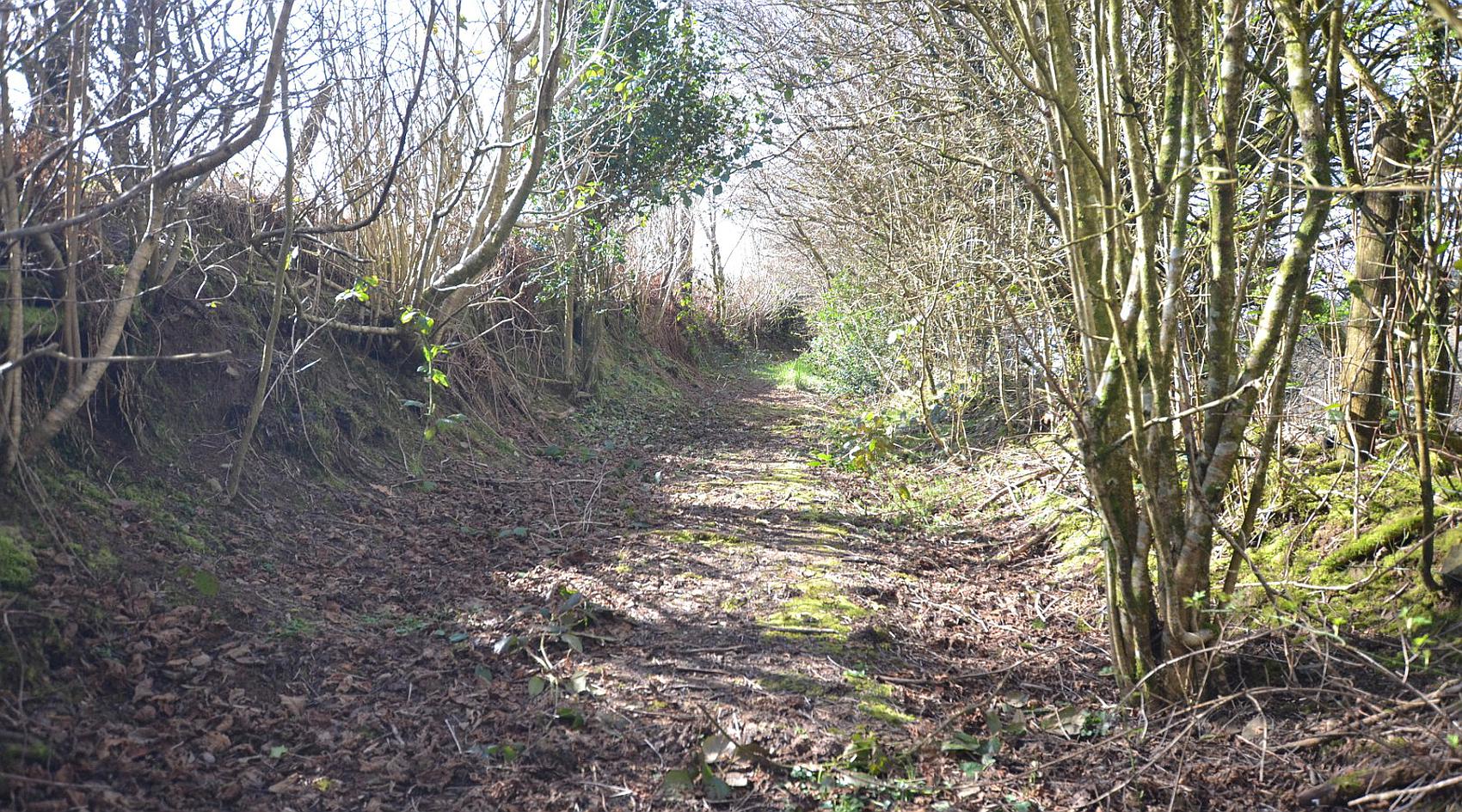 Llangadog CARMARTHENSHIRE