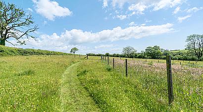 Tavernspite PEMBROKESHIRE