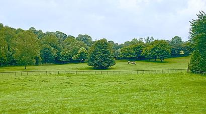 Llanllwni CARMARTHENSHIRE