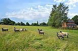 Devizes WILTSHIRE