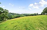 Talog CARMARTHENSHIRE