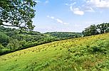 Talog CARMARTHENSHIRE