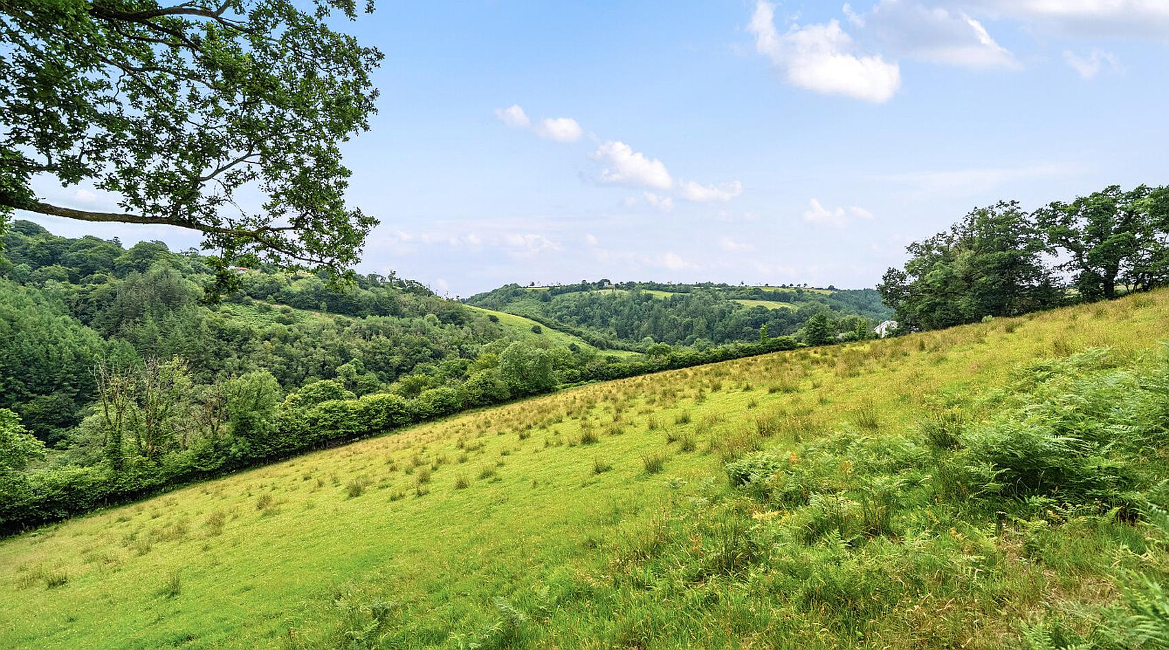 Talog CARMARTHENSHIRE