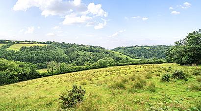 Talog CARMARTHENSHIRE