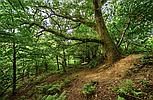 Talog CARMARTHENSHIRE