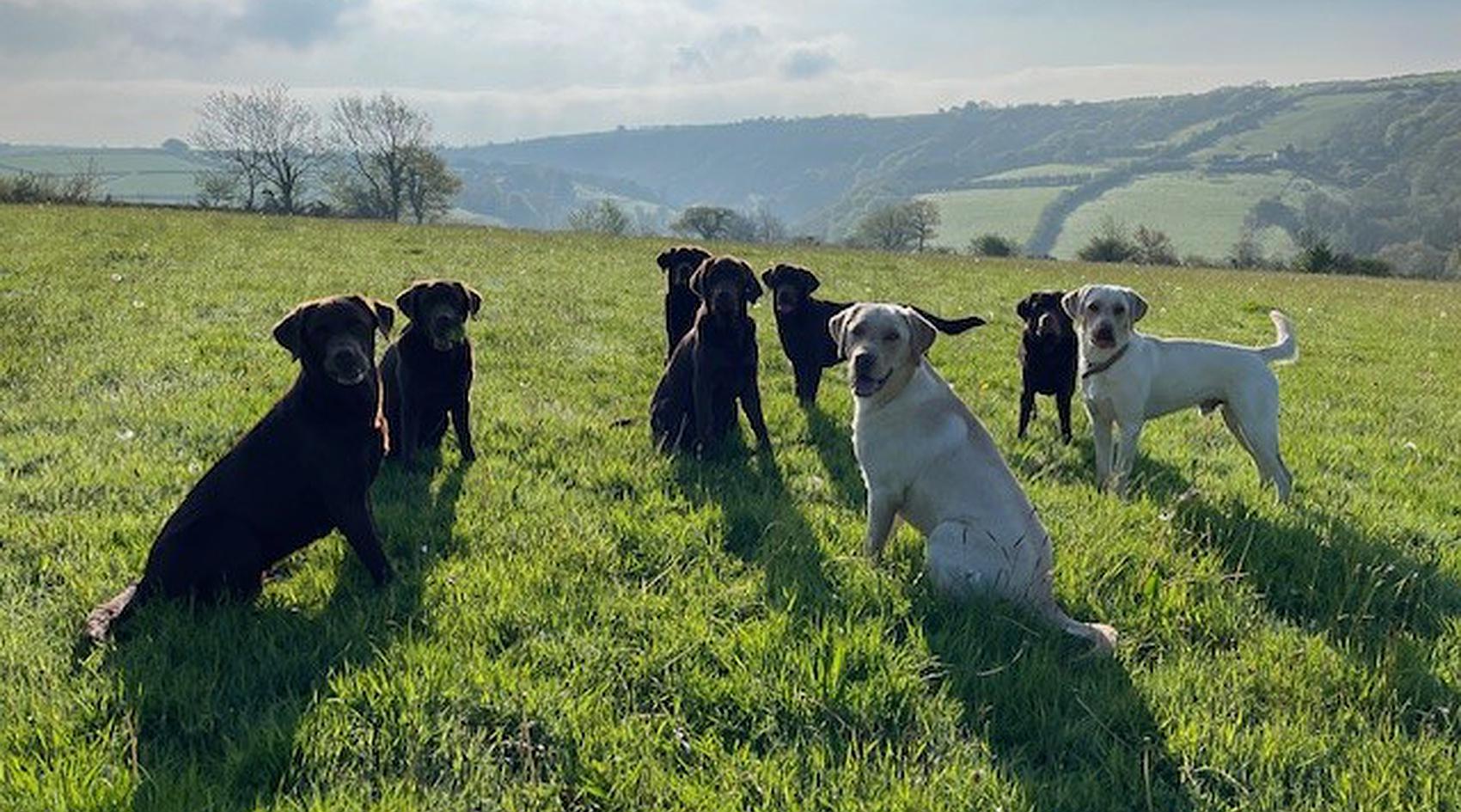 Talog CARMARTHENSHIRE