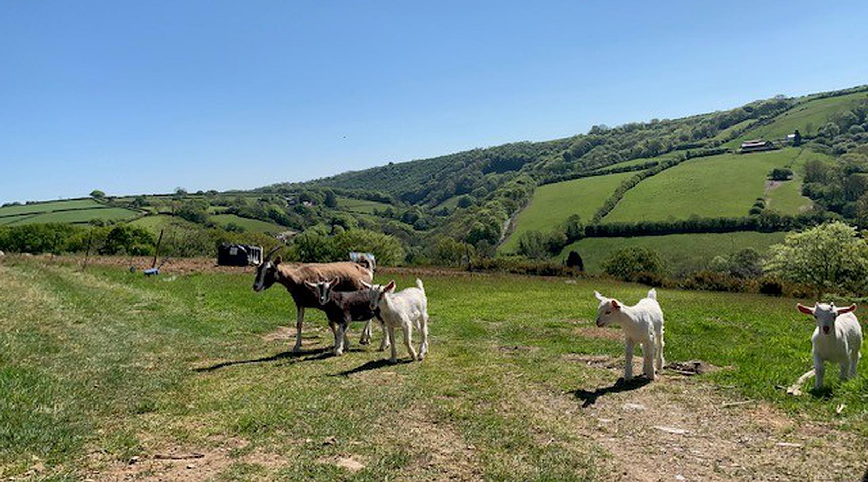 Talog CARMARTHENSHIRE