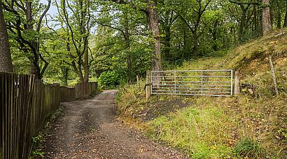 Llwydcoed RHONDDA CYNON TAF