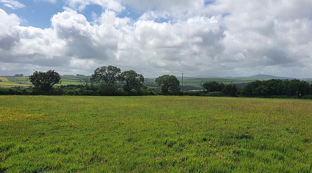 Tanglwst CARMARTHENSHIRE