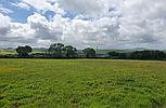 Tanglwst CARMARTHENSHIRE