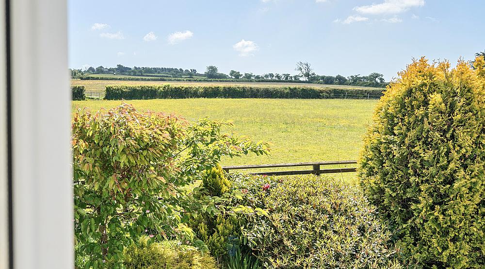 Tanglwst CARMARTHENSHIRE