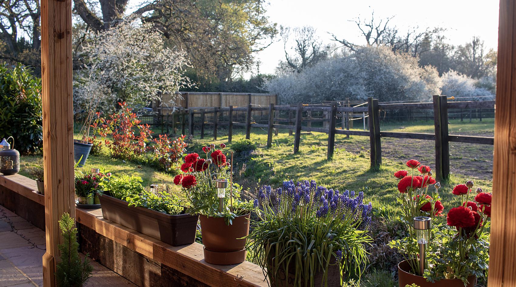 Winchester HAMPSHIRE