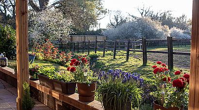 Winchester HAMPSHIRE