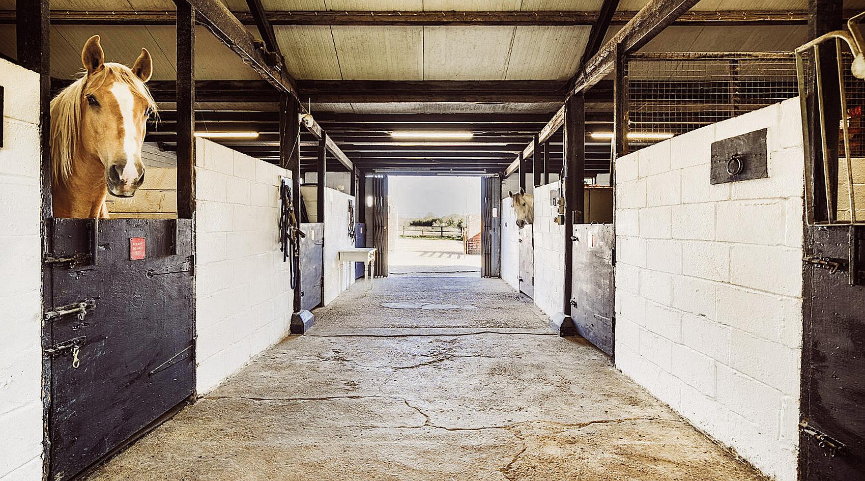 Winchester HAMPSHIRE