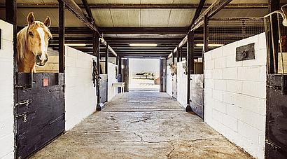 Winchester HAMPSHIRE