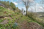 Brechfa CARMARTHENSHIRE