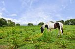 Cwmduad CARMARTHENSHIRE
