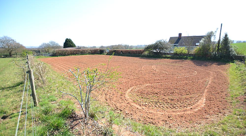 Poltimore DEVON