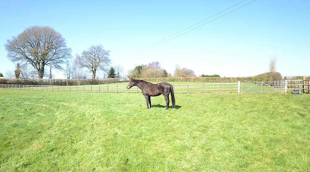 Poltimore DEVON