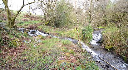 Cwmann CARMARTHENSHIRE