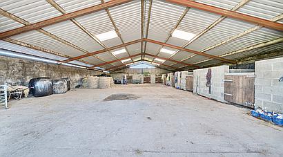 Tegryn PEMBROKESHIRE